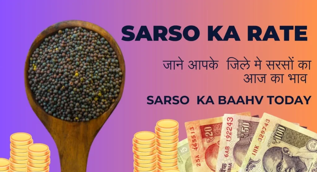 Sarso Ka Rate