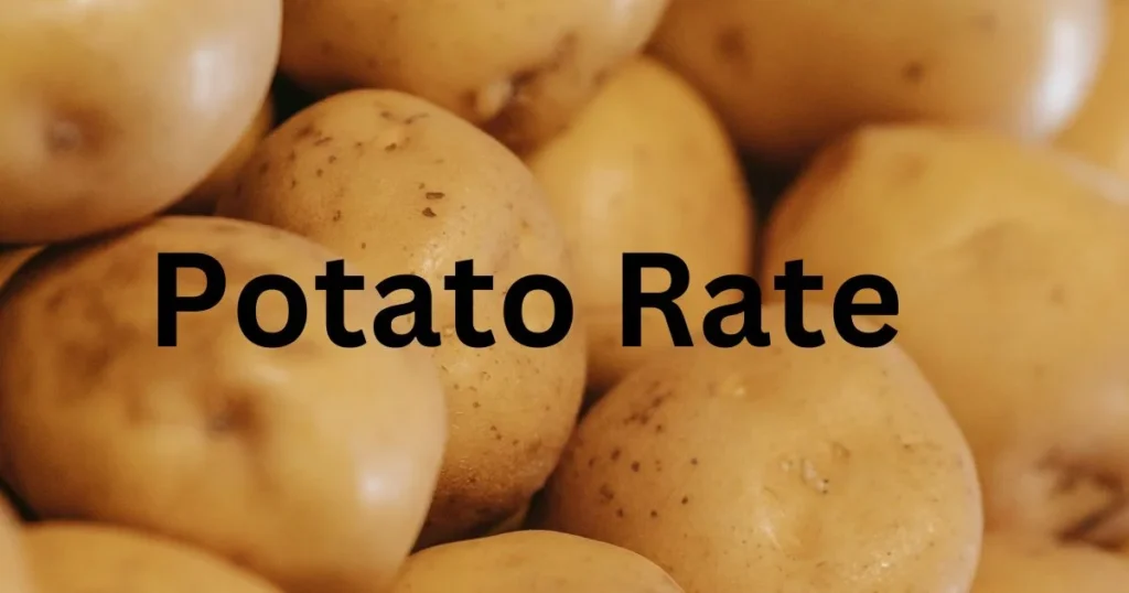 Potato Price, Potato Rate 