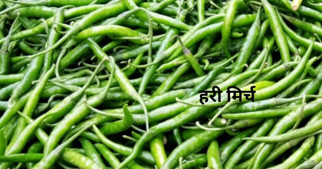 हरी मिर्च 