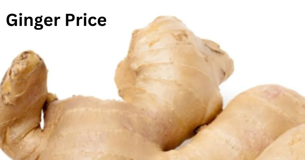 Ginger Price 