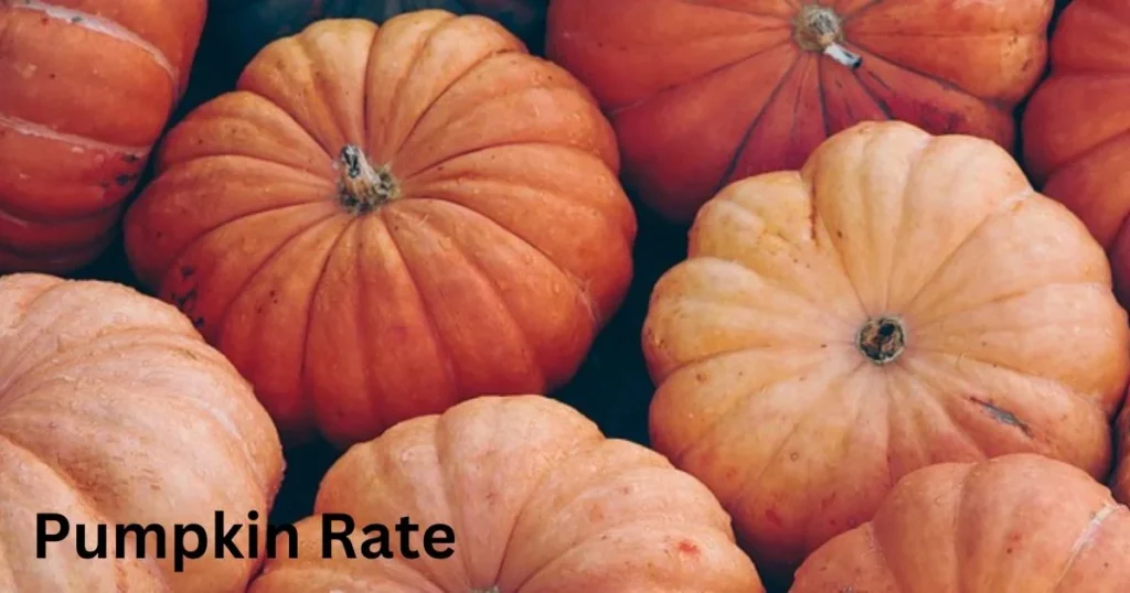 Pumpkin Rate