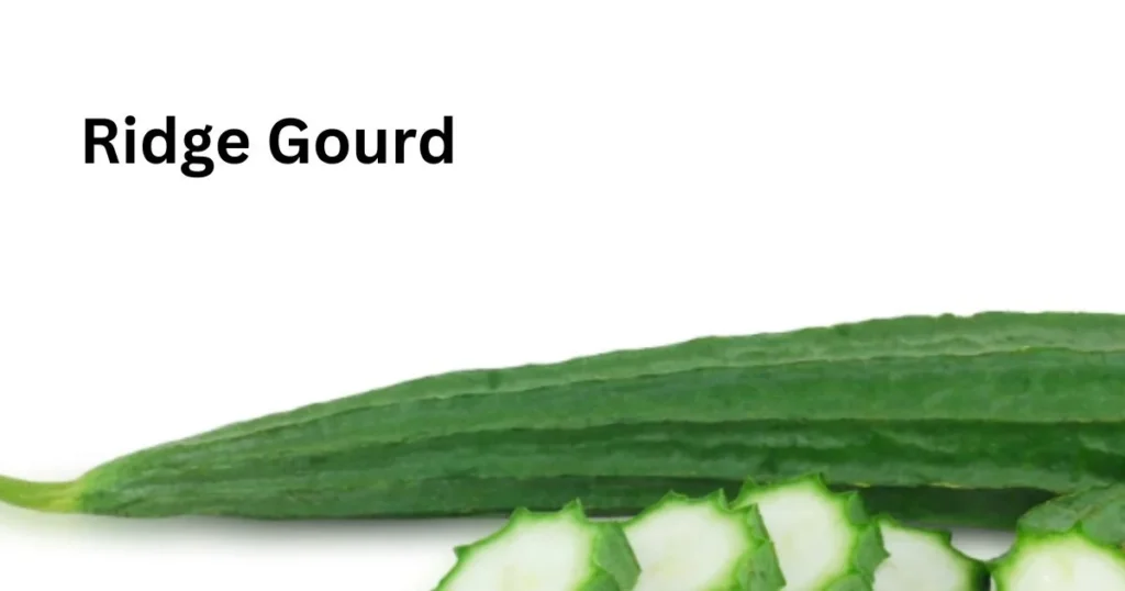 Ridge Gourd 