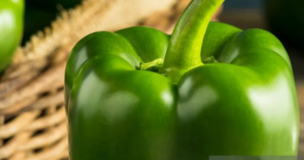 Capsicum Rate 