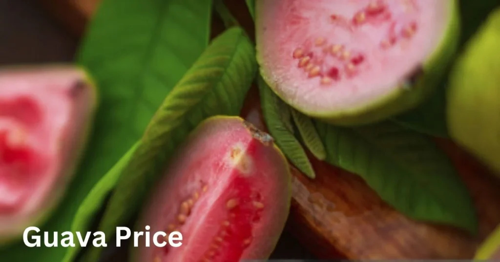 Guava Price