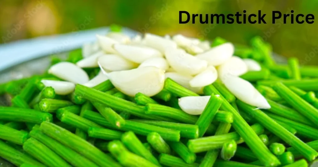 Drumstick Price