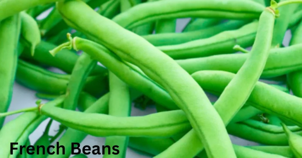 French Beans