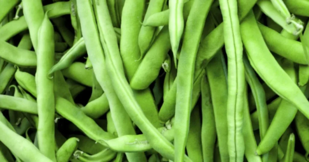 French Beans