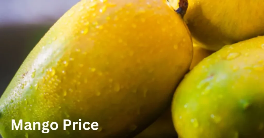 Mango Price