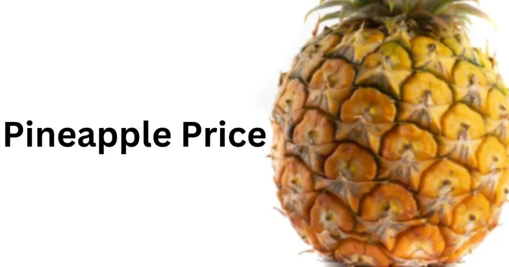 Pineapple Price