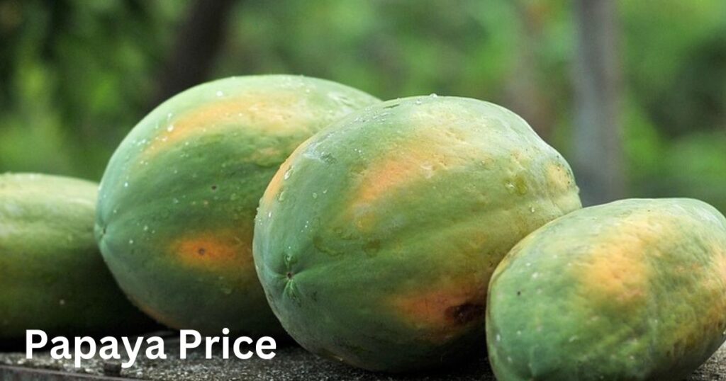 Papaya Price