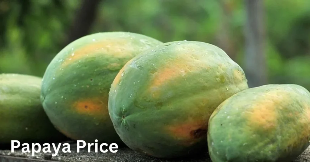 Papaya Price 