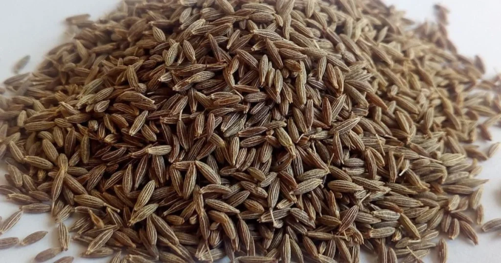 Cumin Price