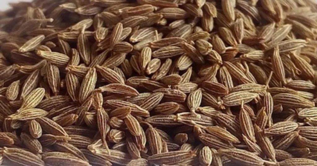 Cumin Price