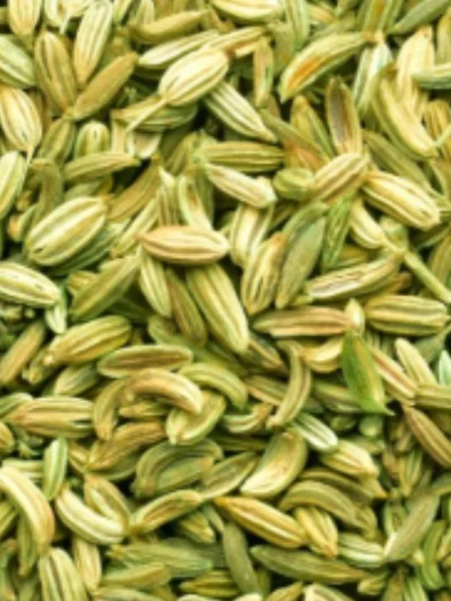 Fennel Seeds Benefits