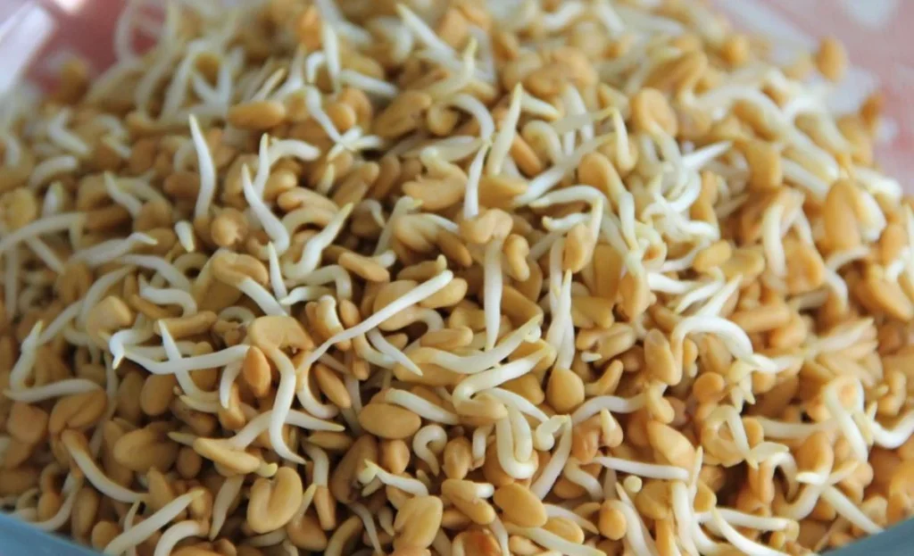 Fenugreek Price