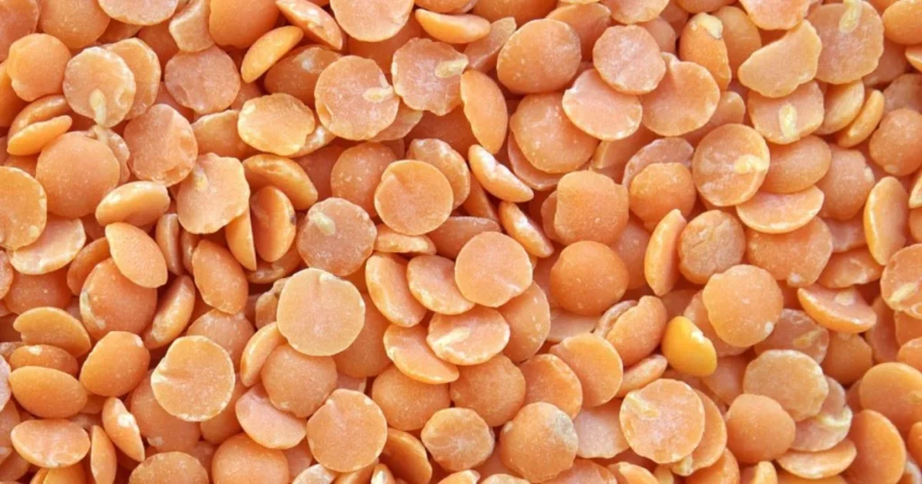 Lentil Price