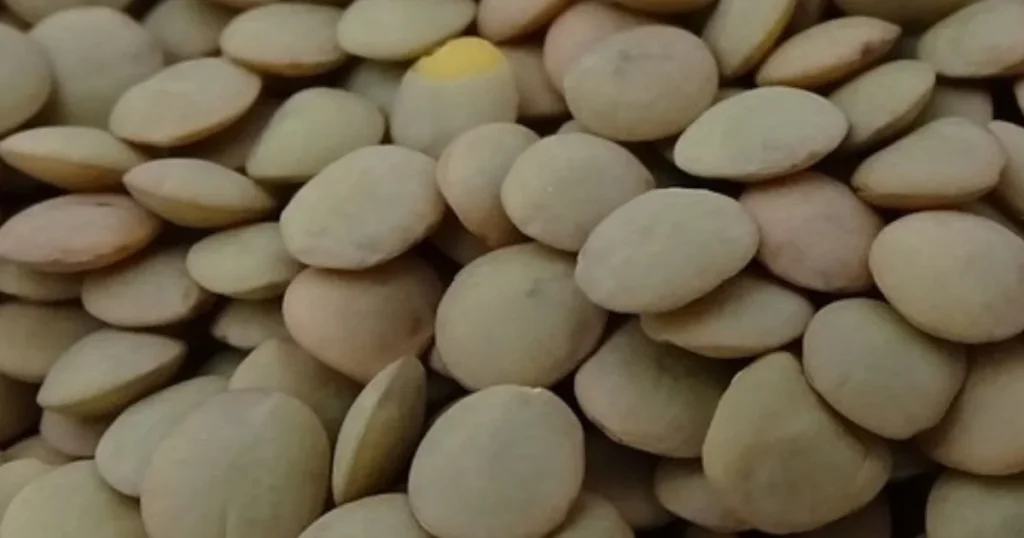 Lentil Price