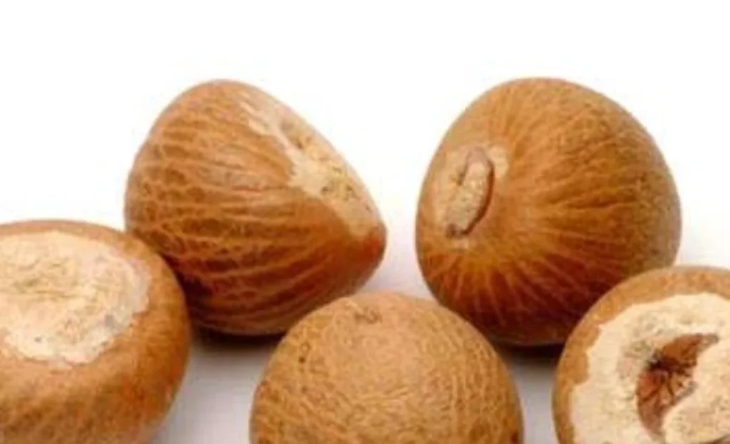  Arecanut Price