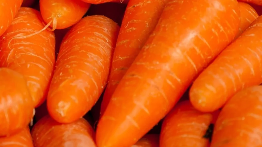 Carrot Price