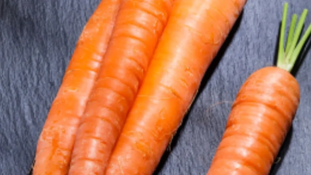 Carrot Price