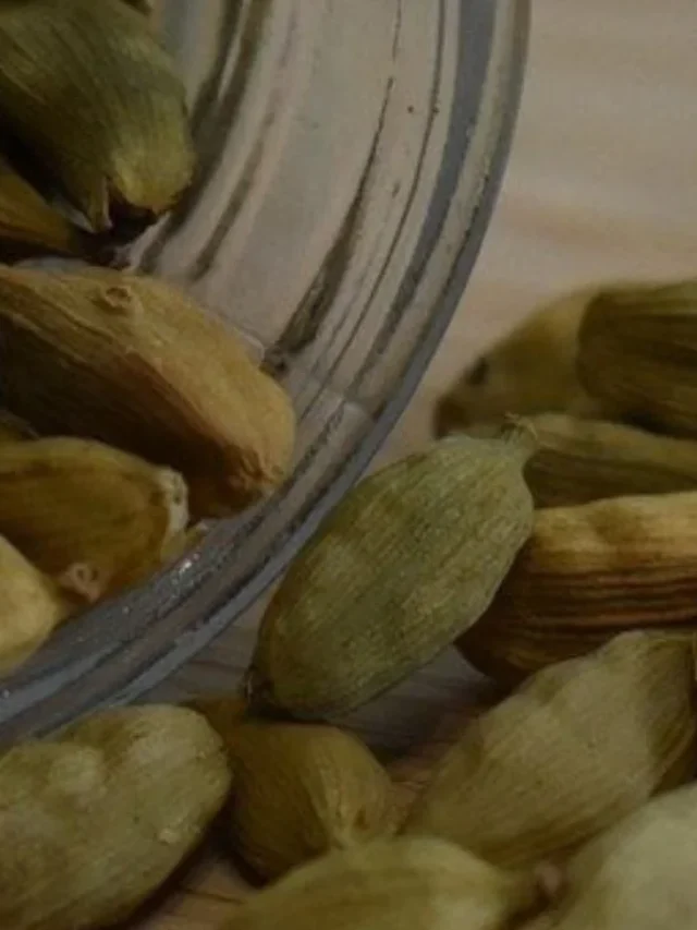 cardamom benefits