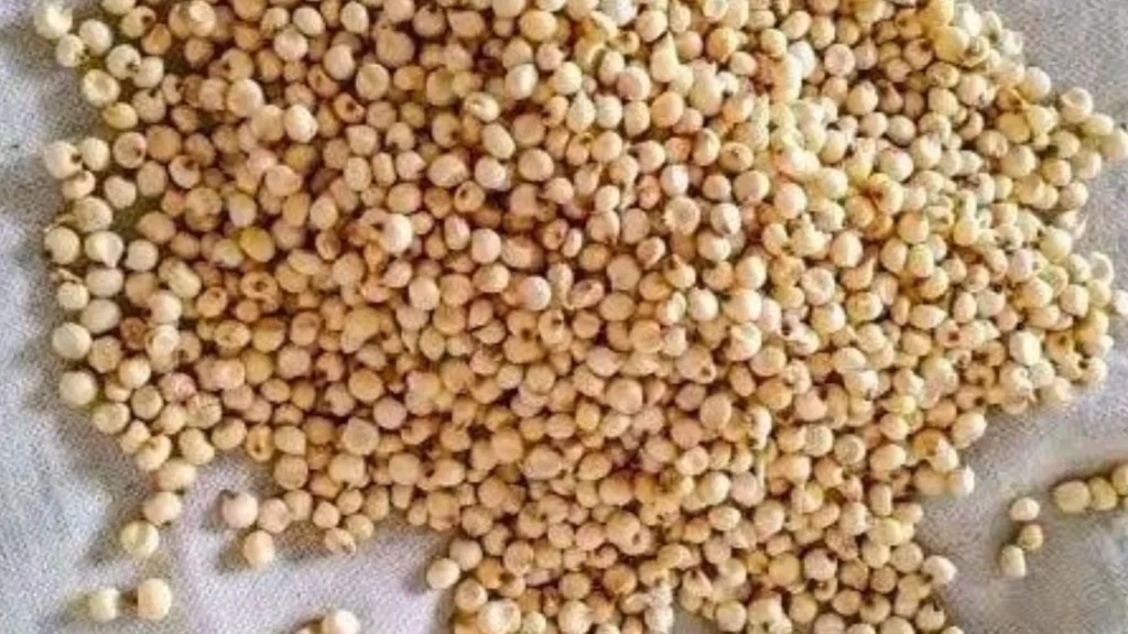 ज्वार का भाव