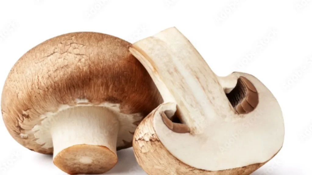 mushroom price